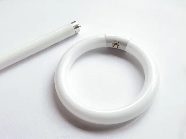 直管型と環型（丸形）の蛍光ランプ